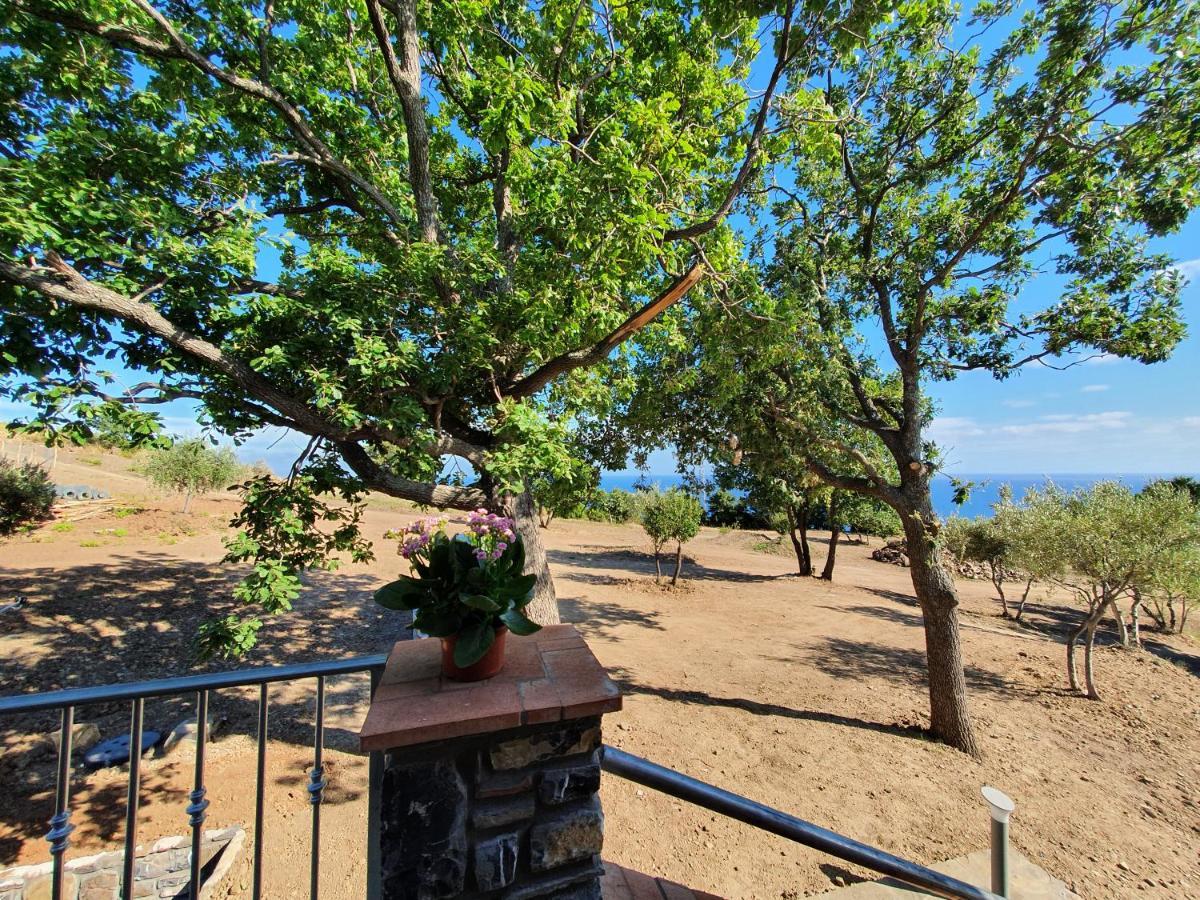 Agriturismo Le Terre Di Venere Acciaroli Luaran gambar