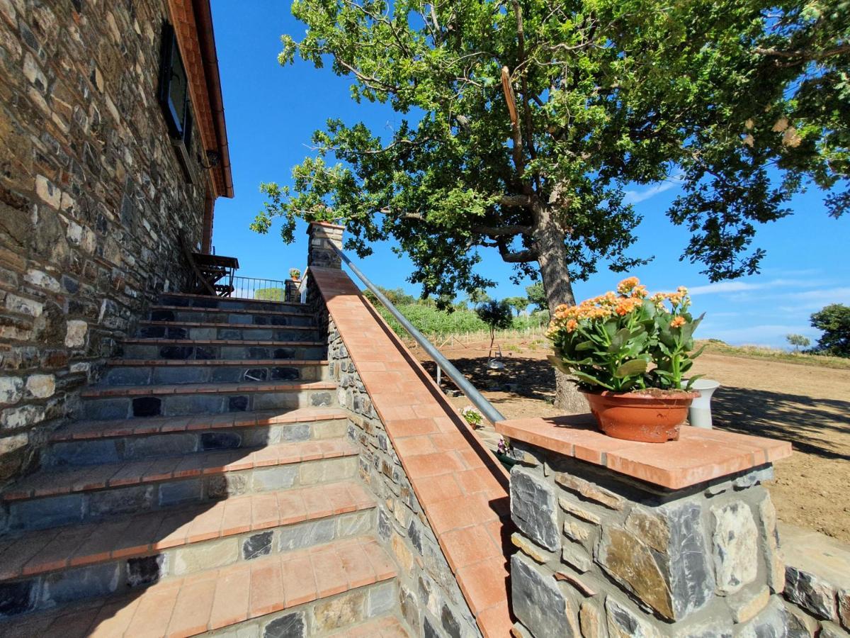Agriturismo Le Terre Di Venere Acciaroli Luaran gambar