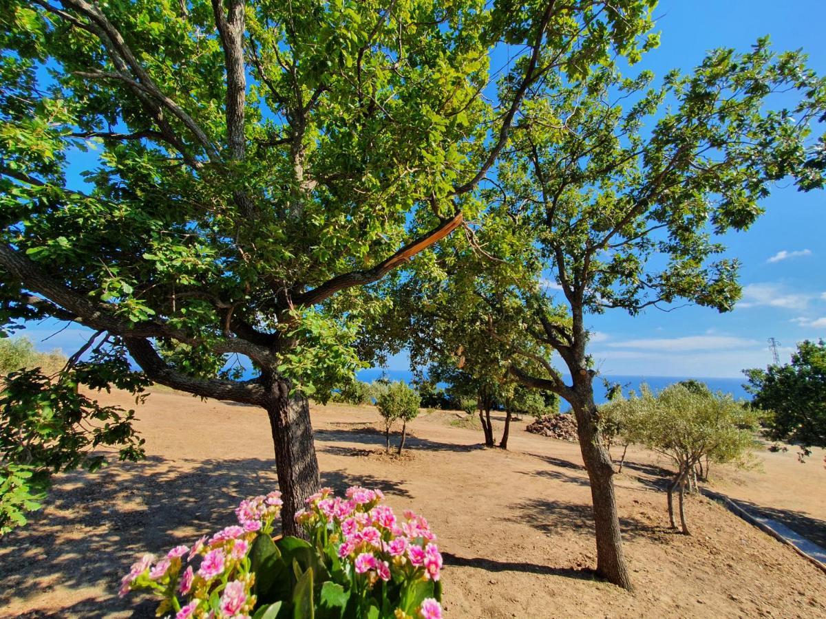 Agriturismo Le Terre Di Venere Acciaroli Luaran gambar