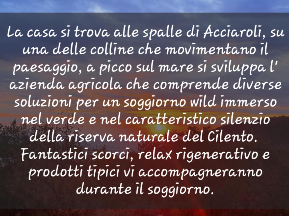 Agriturismo Le Terre Di Venere Acciaroli Luaran gambar