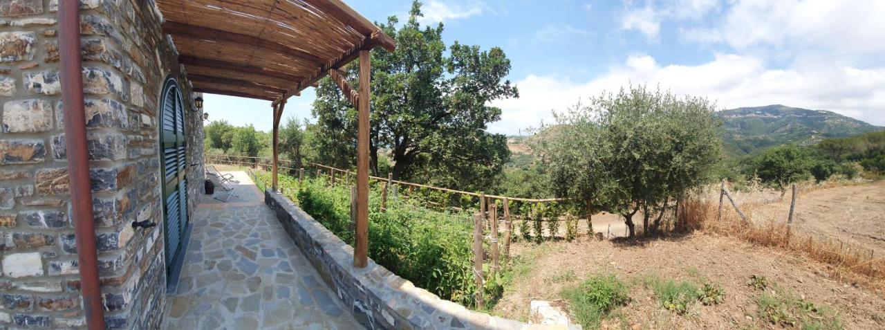 Agriturismo Le Terre Di Venere Acciaroli Luaran gambar