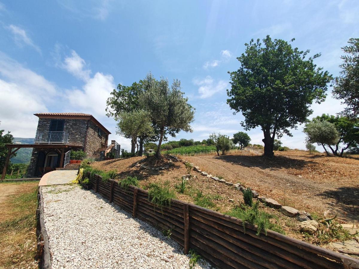 Agriturismo Le Terre Di Venere Acciaroli Luaran gambar