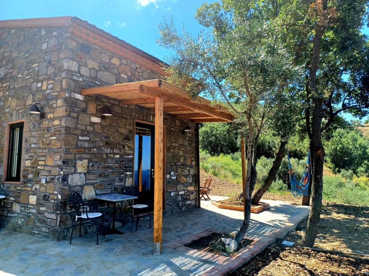 Agriturismo Le Terre Di Venere Acciaroli Luaran gambar
