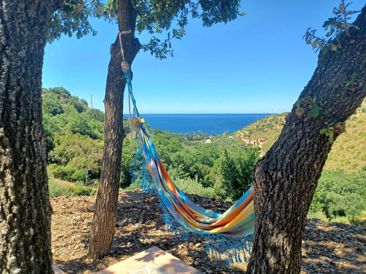 Agriturismo Le Terre Di Venere Acciaroli Luaran gambar