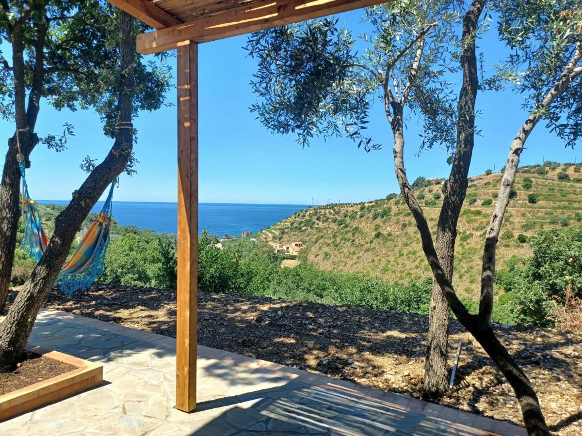 Agriturismo Le Terre Di Venere Acciaroli Luaran gambar